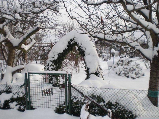 Winterzeit: Gartentor